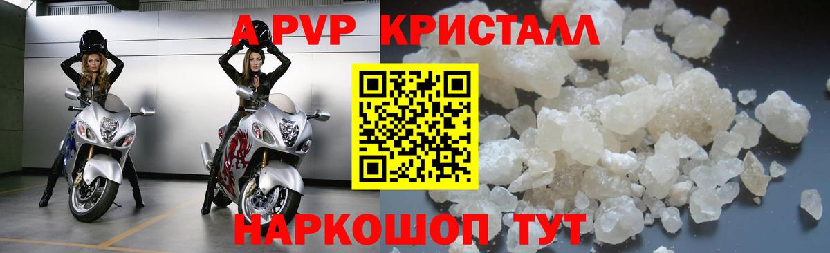 Alfa_PVP СК Спасск-Дальний