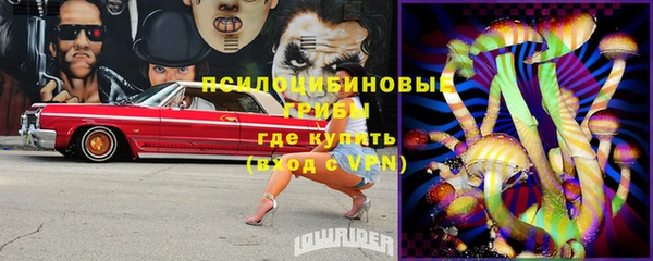 не бодяженный Елабуга