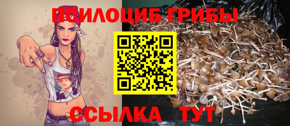 Псилоцибиновые грибы GOLDEN TEACHER  Галлюциногенные грибы Psilocybine cubensis  где найти   Спасск-Дальний 