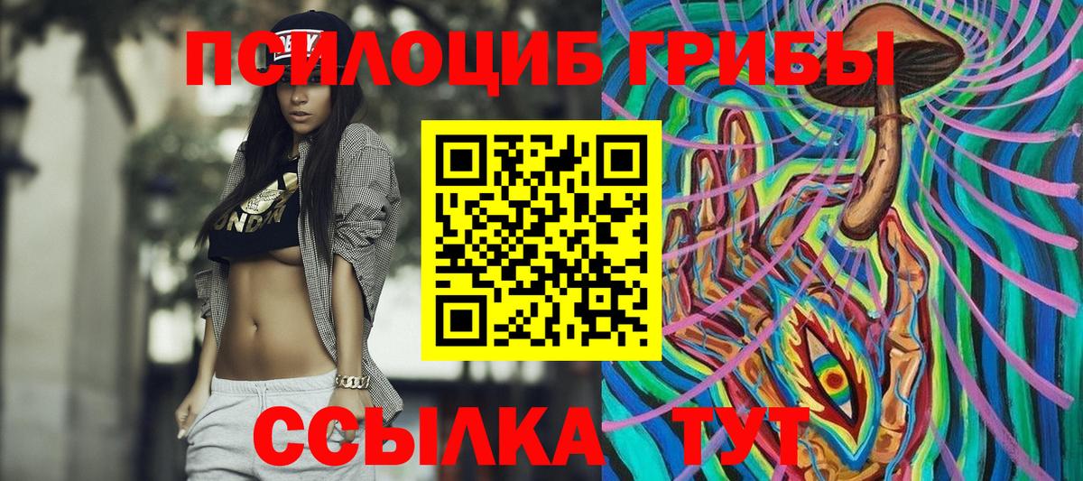Галлюциногенные грибы Psilocybine cubensis  Псилоцибиновые грибы прущие грибы  Вход с VPN  Спасск-Дальний 
