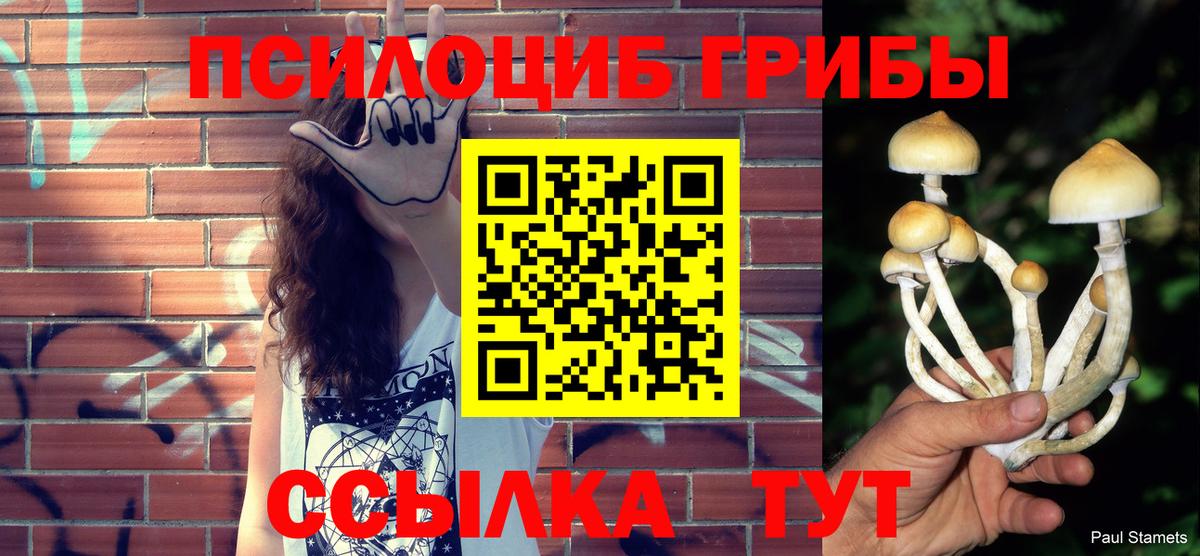 Псилоцибиновые грибы мухоморы Спасск-Дальний